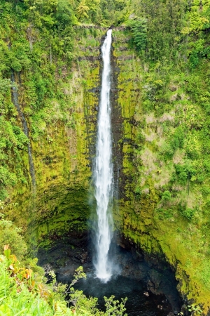 Akaka Falls on the Big Island of Hawaii in a tropical rain forestの写真素材