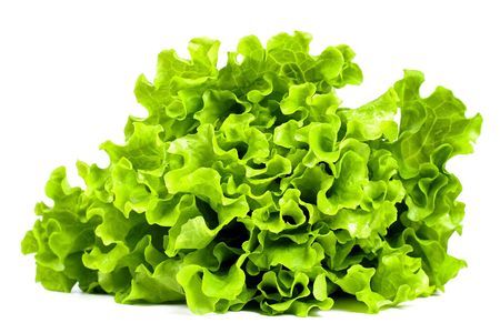 Fresh green lettuce isolated on whiteの写真素材