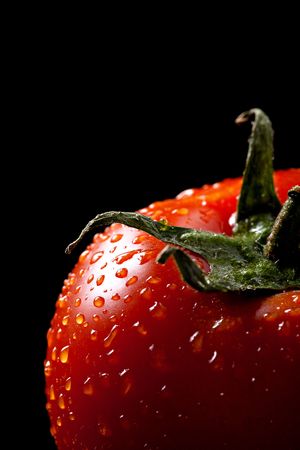 Tomato detail with waterdropsの写真素材