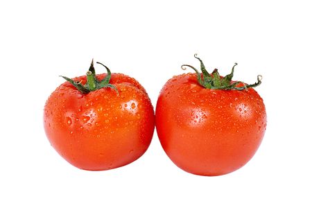 Two fresh tomatoes with waterdrops, isolated over whiteの写真素材