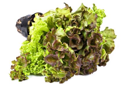 Fresh green and brown lettuce isolated over whiteの写真素材