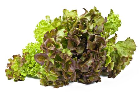Fresh green and brown lettuce isolated over whiteの写真素材