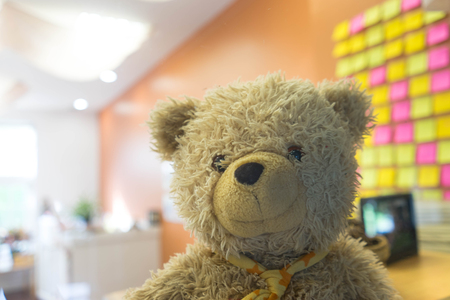 doll bear in smile face n Blurred room like class or office in happy leisure relax conceptの写真素材