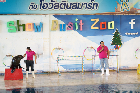 Bangkok,Thailand,Feb 13 ,2018 ,Sea lion show with animal traners on stage of Dusit Zoo showのeditorial素材