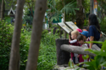 Blur photo of children or student in field trip stand and look in animal cage for educationの写真素材