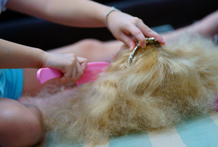 kid combing hair of female dollの写真素材