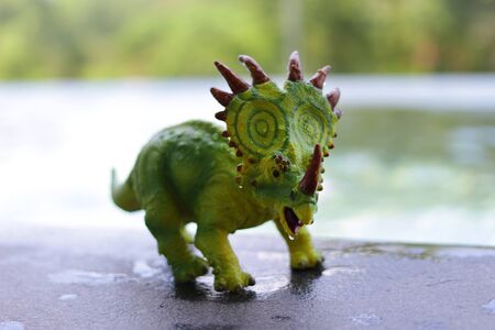 Styracosaurus dinosaur in running action on blur background