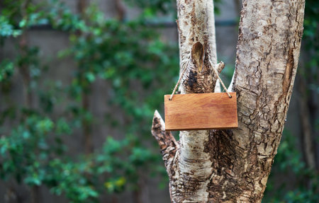 Wooden label hang on tree on nature background for earth care conceptの写真素材