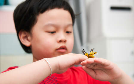 A butterfly perched on the hand of an Asian boy who was staring and smiling. happily in the room in the houseÂ の写真素材