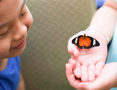 asian boy Make a happy face when you see a butterfly in someone else's hand.の写真素材