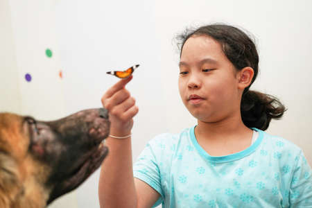 A girl holding up a finger with a butterfly on it. in the living room of the house and the pet dogの写真素材