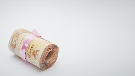 Thai banknotes cash for rich invest and spend debt with copy spaceの写真素材