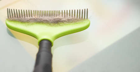 dog hair grooming by comb fill with furの写真素材