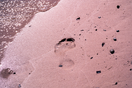 the lonely trail barefoot human legs on coastal sandの写真素材