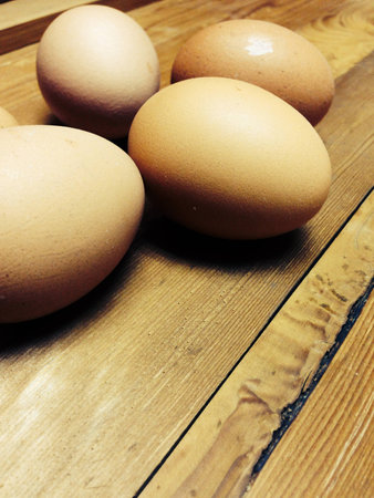 Fresh eggsの素材