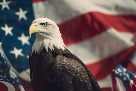 American eagle on the background of the flag of the United States of Americaの素材