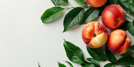 Several fresh peaches with vibrant red and yellow hues, accompanied by green leaves on a white background.の素材