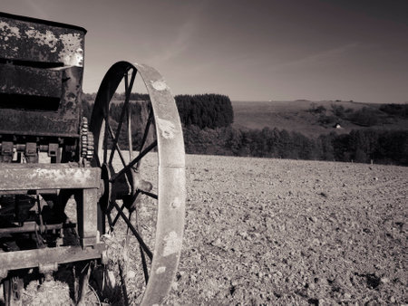 field and old wheelの写真素材