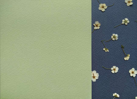 herbal template yellow-green, with small flowers, empty space
