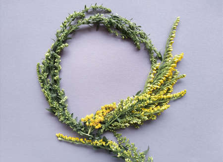 branches with and without small yellow flowers forming a circle, herbal template