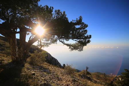 athos greece mounastery seaの写真素材