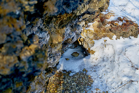 Rock over the forest against a white snowy skyの写真素材