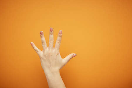 gesture, female hand shows five fingers isolated on orange background
