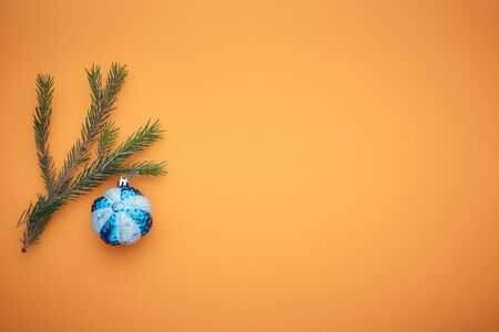 branch Christmas tree on a colored background, a place for textの写真素材