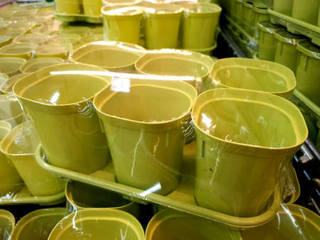 plastic cups for seeds and seedlings in the plant store