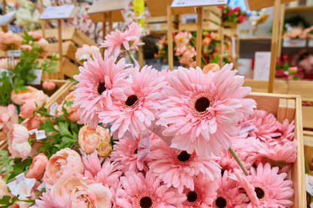 sale of various flowers and plants in the design and interior storeの写真素材