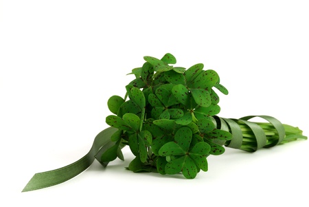 Bouquet of false shamrock with green ribbon lying on white backgroundの写真素材