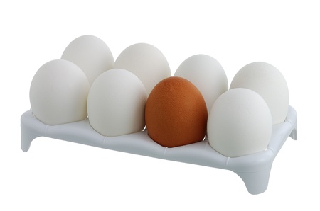 Seven white eggs and one brown in carton isolated on white backgroundの写真素材