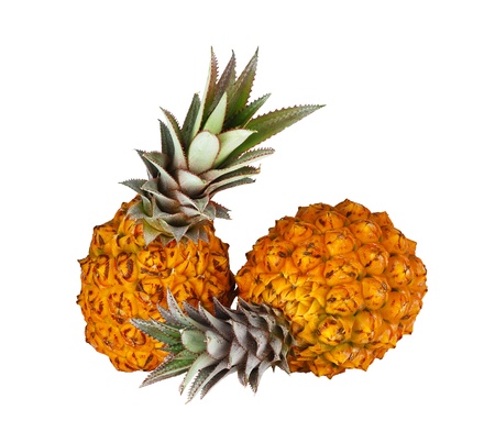 Two fresh bright orange pineapples isolated on white backgroundの写真素材