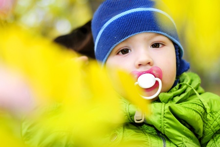 The small beautiful boy walks on a green gladeの写真素材
