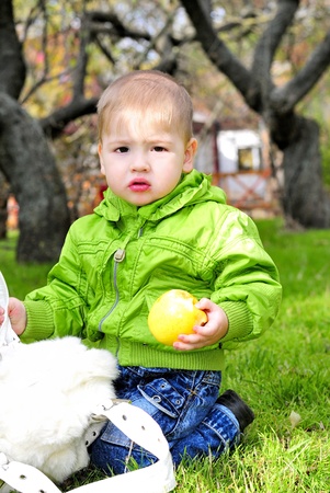 The small beautiful boy walks on a green glade with an appleの写真素材