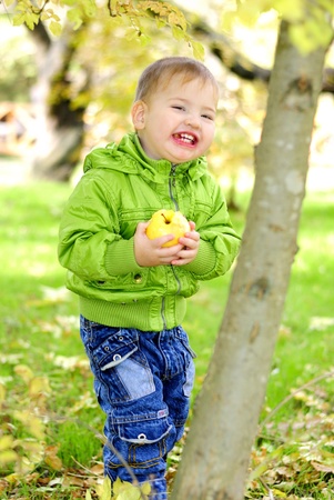 The small beautiful boy walks on a green glade with an appleの写真素材
