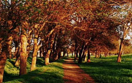 ash garden