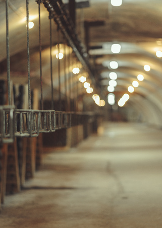Old conveyor belt in the production of sparkling wines. Selective focus.の写真素材