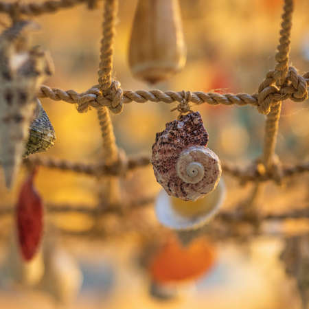 A group of colorful shells tied with a rope. Selective focus