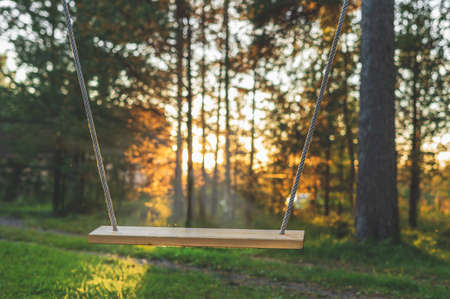 A simple swing in the contoured sunset light. Close upの写真素材