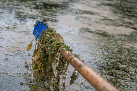 Close-up image of an oar in the seaweed above the water. Natural lightの写真素材