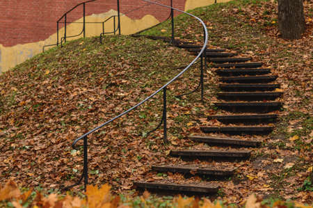 Autumn Park landscape, steps among bright yellow leaves on green grass. Natural light