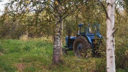 An old blue tractor in a field with tall grass among the trees. Natural lightの写真素材