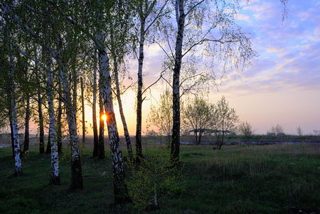 sunset on the outskirts of the villageの写真素材