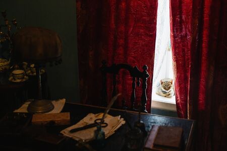 A cat lies on a window sill in an old manor houseの写真素材