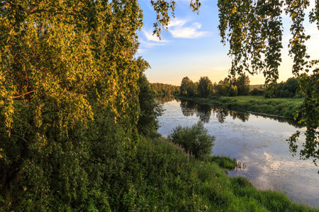 Summer evening after a hot day on the river, green coast, water liliesの写真素材