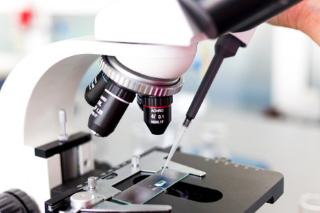 Study with a microscope in biology laboratories, scientific activity, biological microscope
