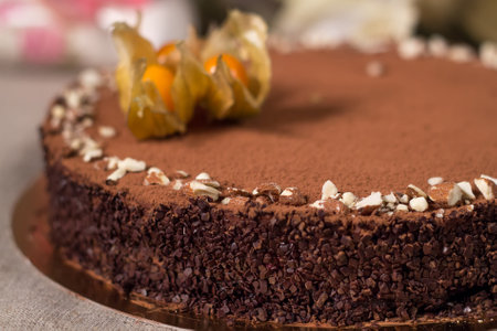 chocolate cherry cake with berries, close-up studio photo