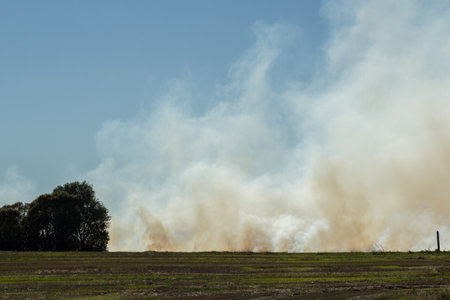 fire on the field, burning grass, white smoke on a sunny dayの写真素材