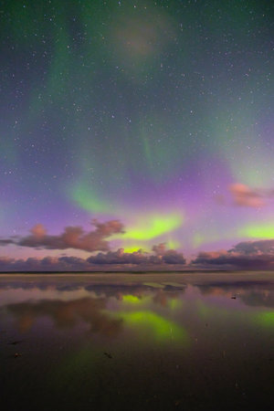 Polar Lights over the beach in norway, lofoten islands Aurora Borealisの写真素材